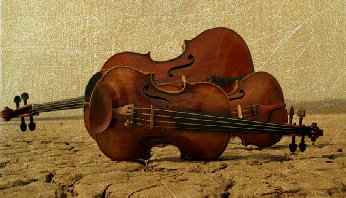 the_elliott_family_quartet_home_page009024.jpg